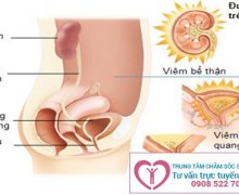 Chữa nhiễm trùng đường tiểu