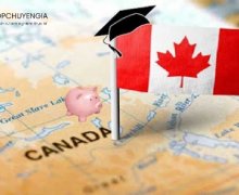 Du học Canada cần gì: hướng dẫn từng bước cho du học sinh quốc tế