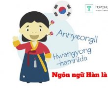 Du học Hàn Quốc ngành Ngôn ngữ Hàn và những thông tin cần biết