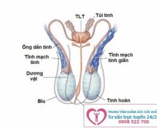 Đau bìu bên trái và cách chữa trị hiệu quả