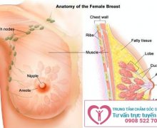 Khắc phục tình trạng viêm tuyến vú