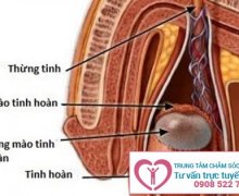 Nguyên nhân gây viêm tinh hoàn ở nam giới