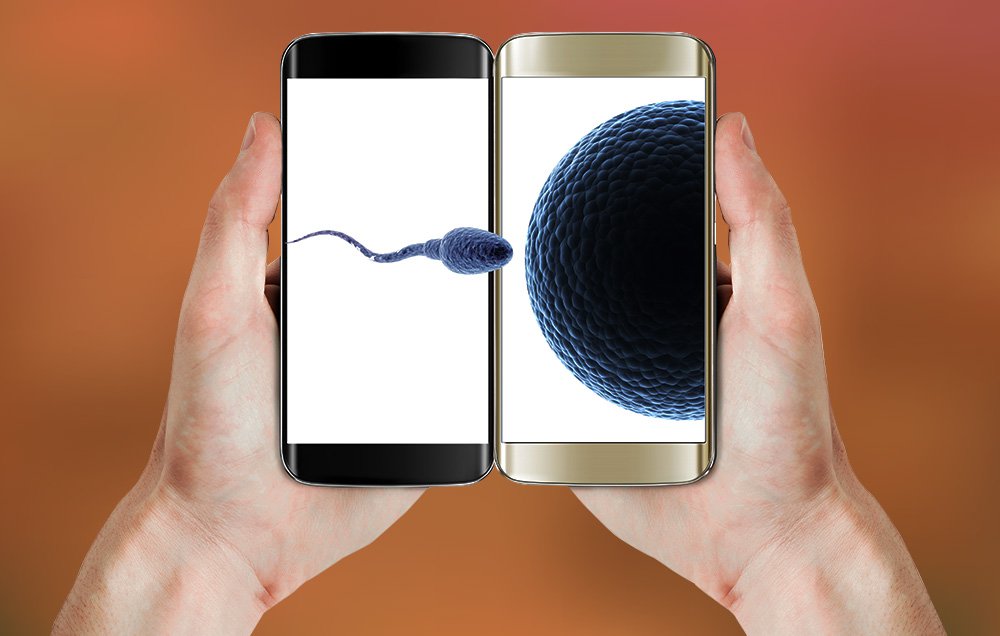 Smartphone giờ đây có thể kiểm tra chất lượng tinh trùng